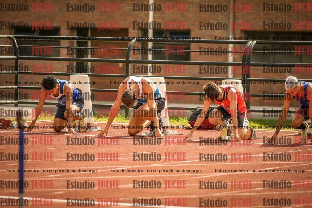 Fotos de los 110 m con vallas de varones
