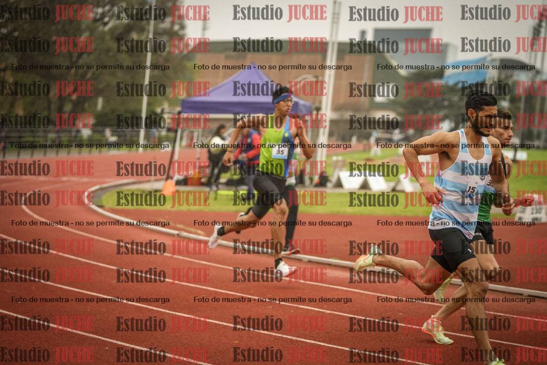 Fotos de los 800 m llanos de varones