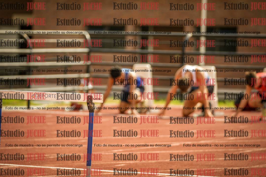 Fotos de los 110 m con vallas de varones