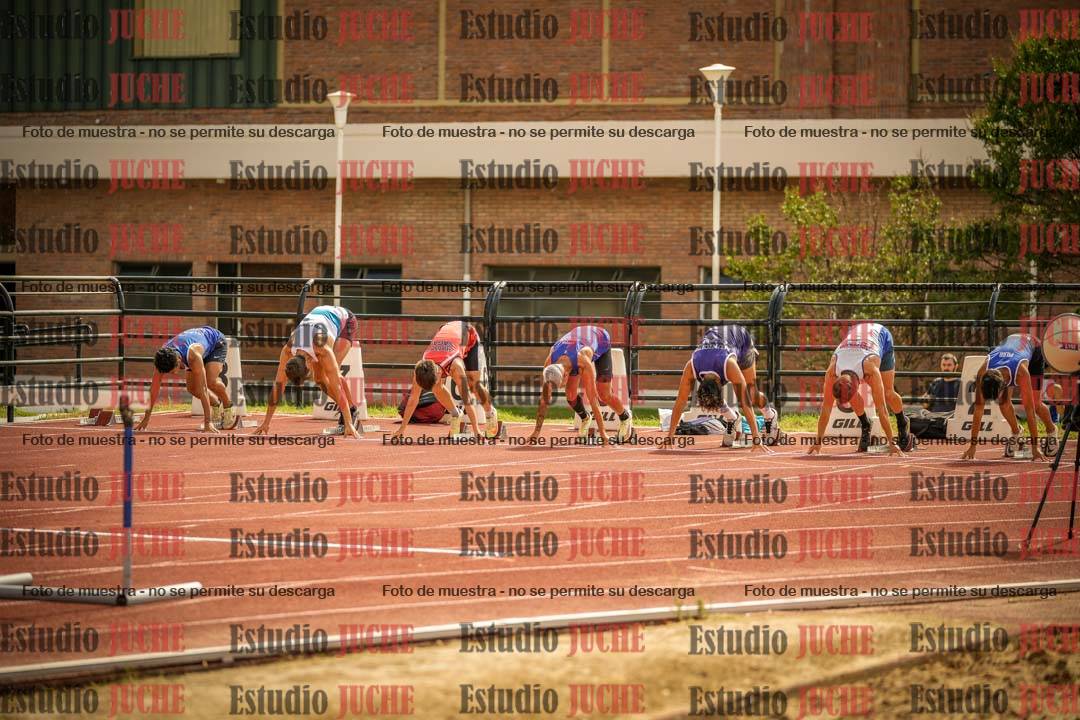 Fotos de los 110 m con vallas de varones