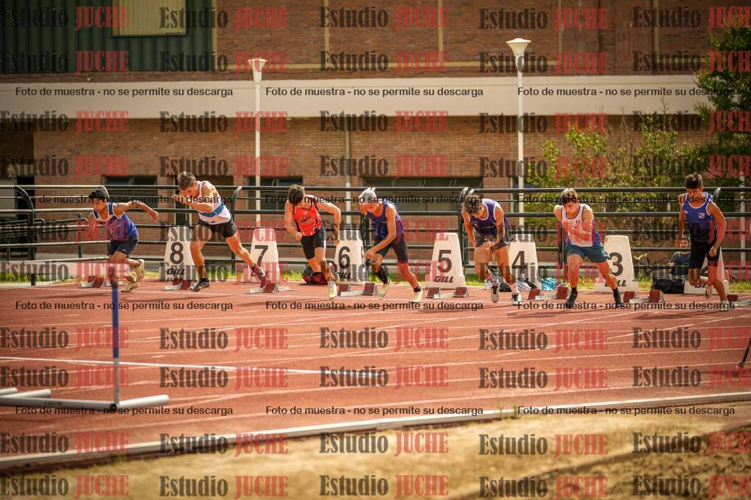 Fotos de los 110 m con vallas de varones
