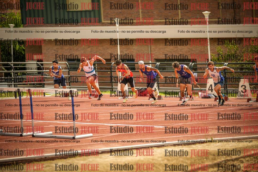 Fotos de los 110 m con vallas de varones