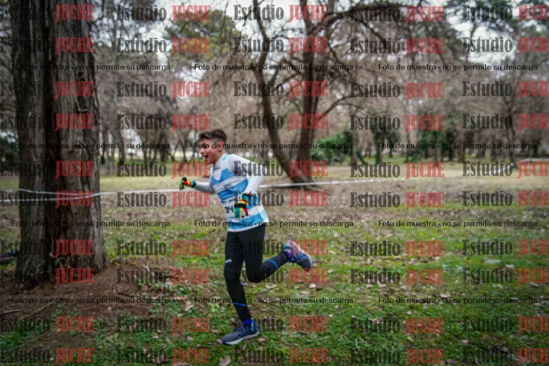 Fotos en el circuito