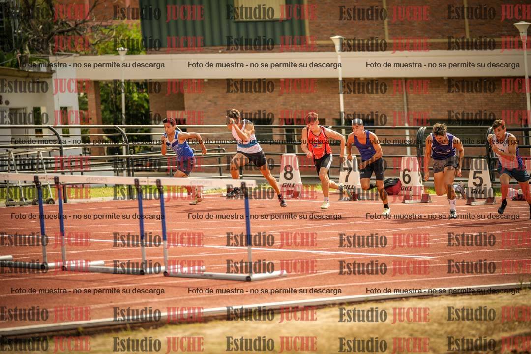 Fotos de los 110 m con vallas de varones