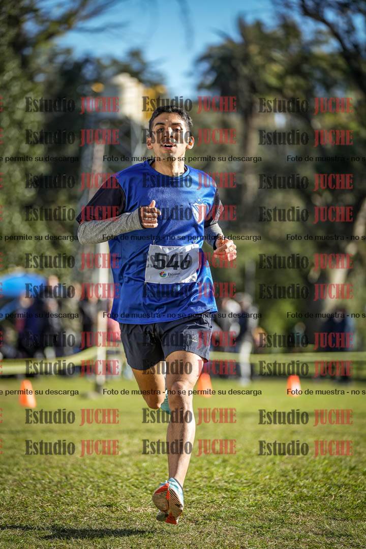 Fotos de la llegada del cross de 4000 m - varones