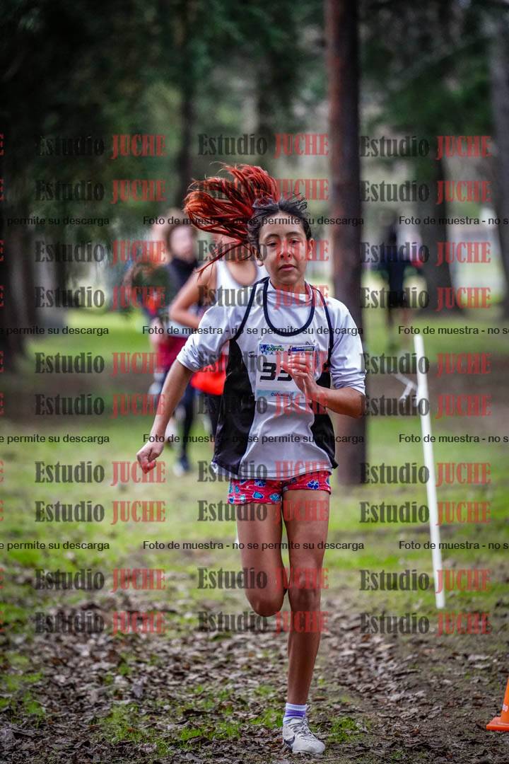 Fotos en el circuito