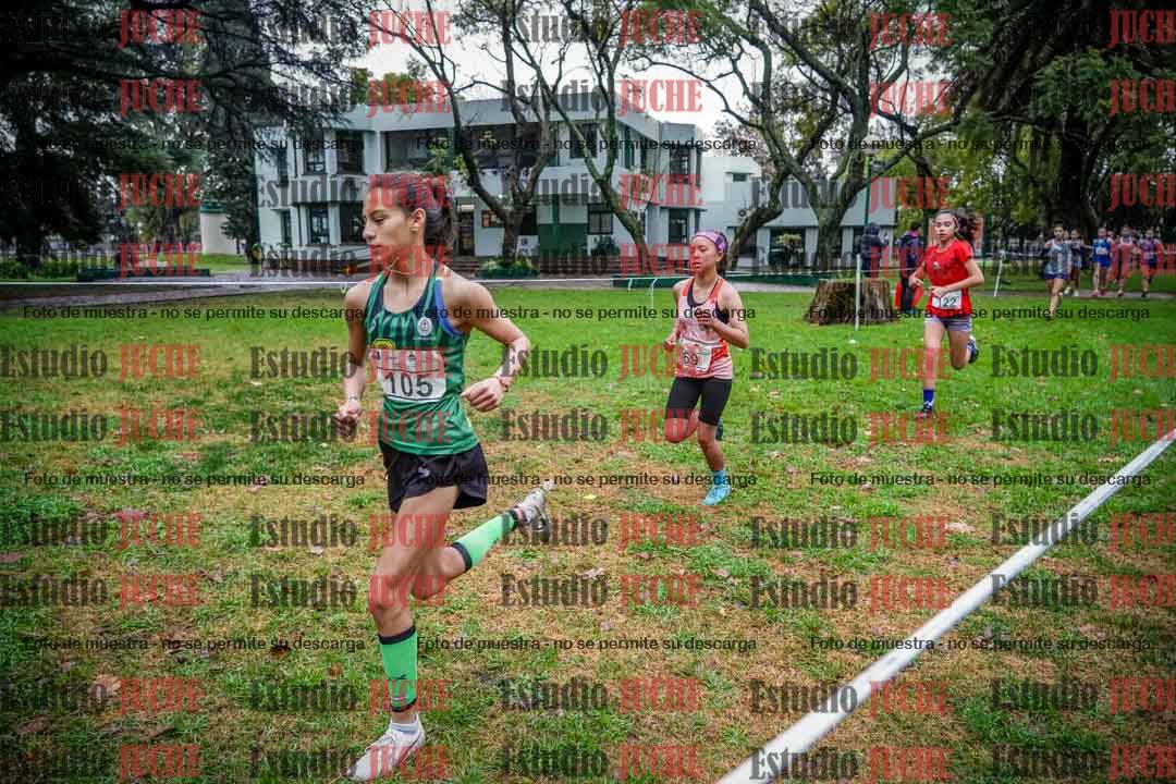 Fotos en el circuito
