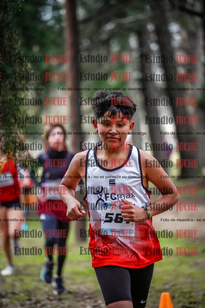 Fotos en el circuito