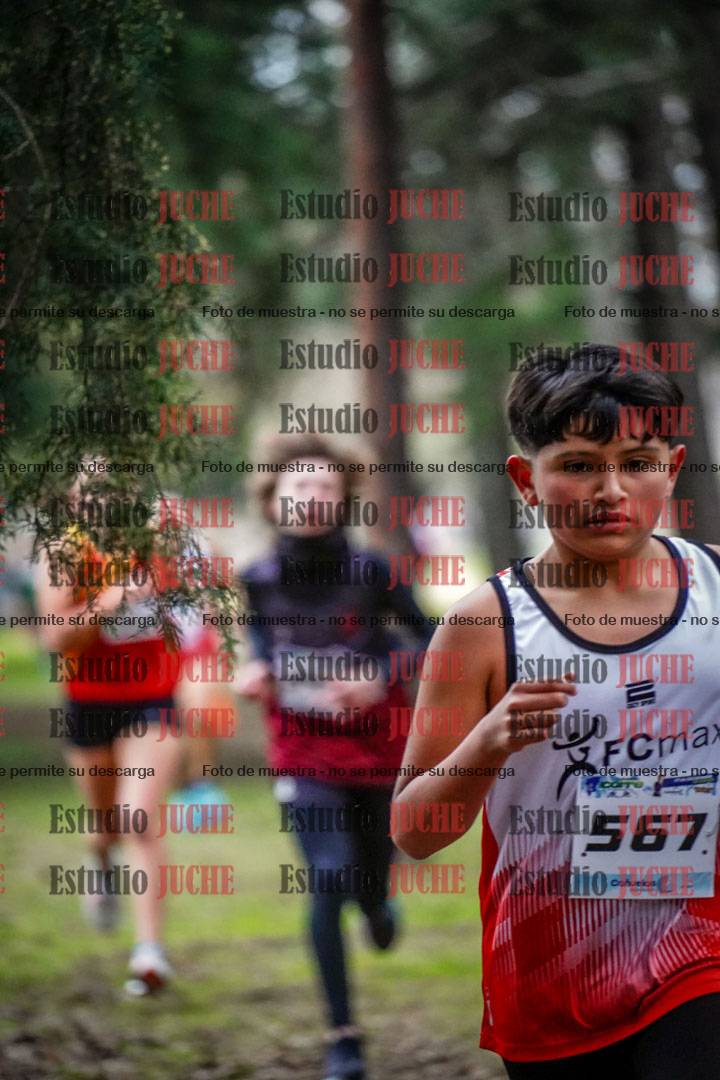 Fotos en el circuito