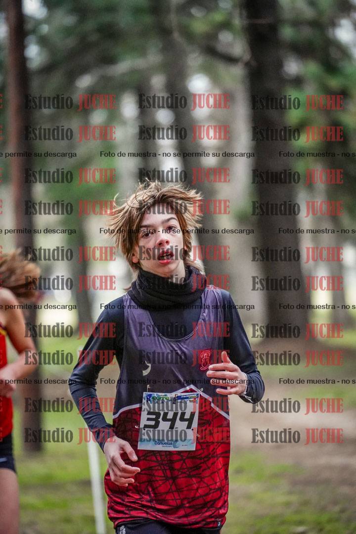 Fotos en el circuito