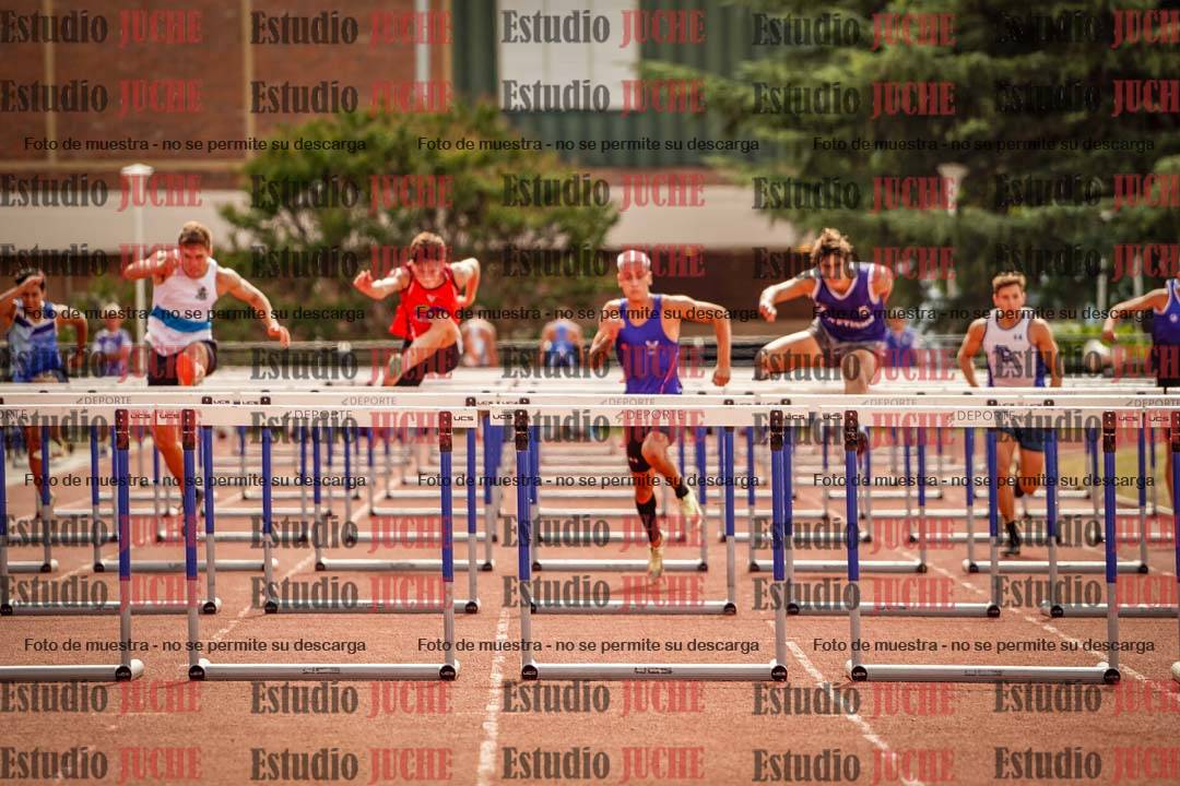 Fotos de los 110 m con vallas de varones