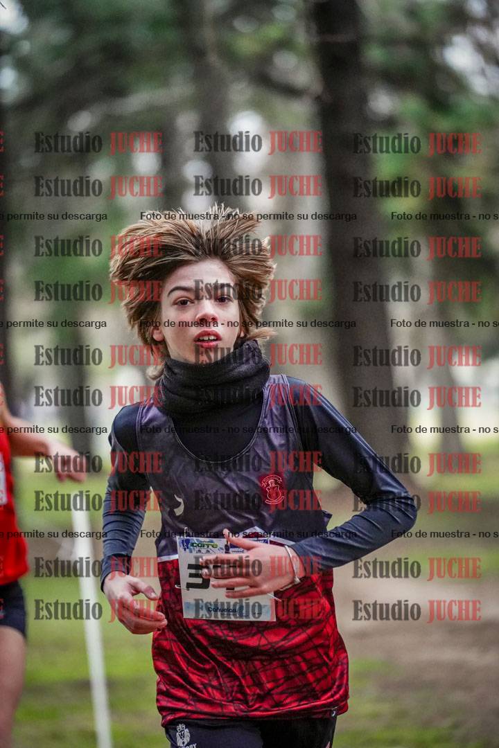 Fotos en el circuito