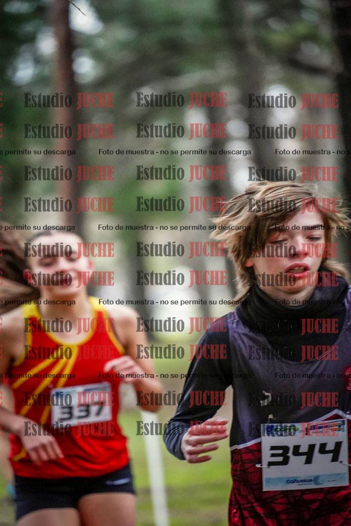 Fotos en el circuito