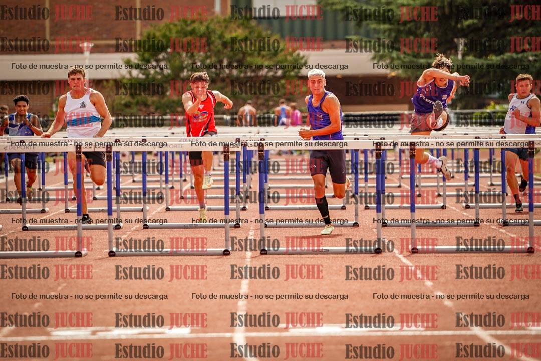 Fotos de los 110 m con vallas de varones