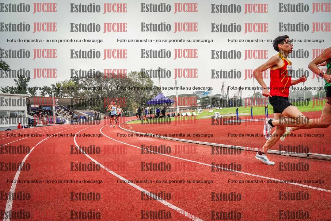 Fotos de los 800 m llanos de varones