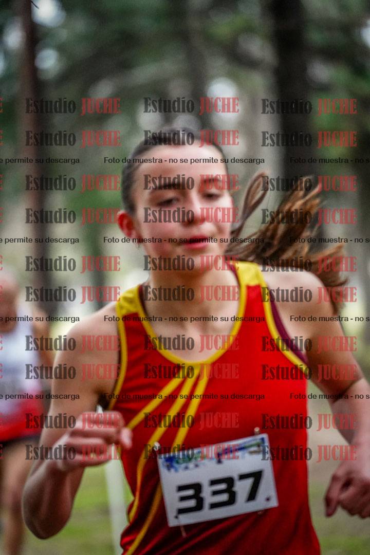 Fotos en el circuito