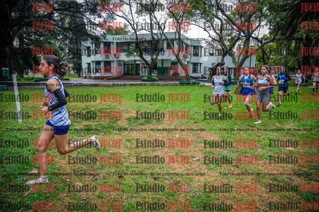 Fotos en el circuito