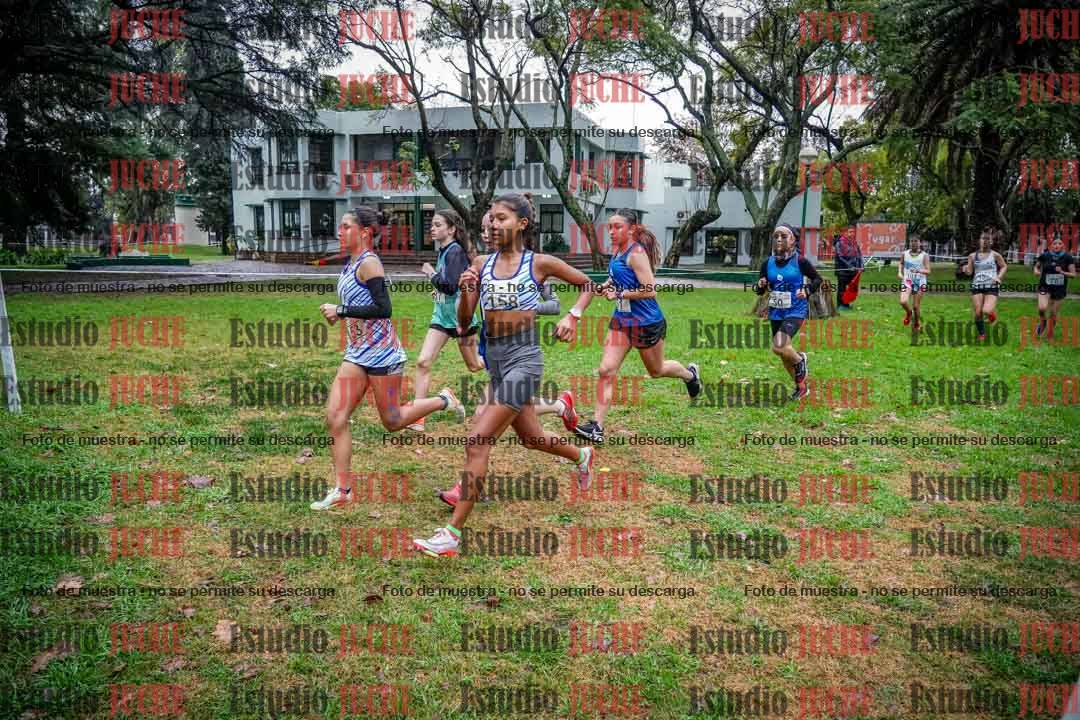 Fotos en el circuito