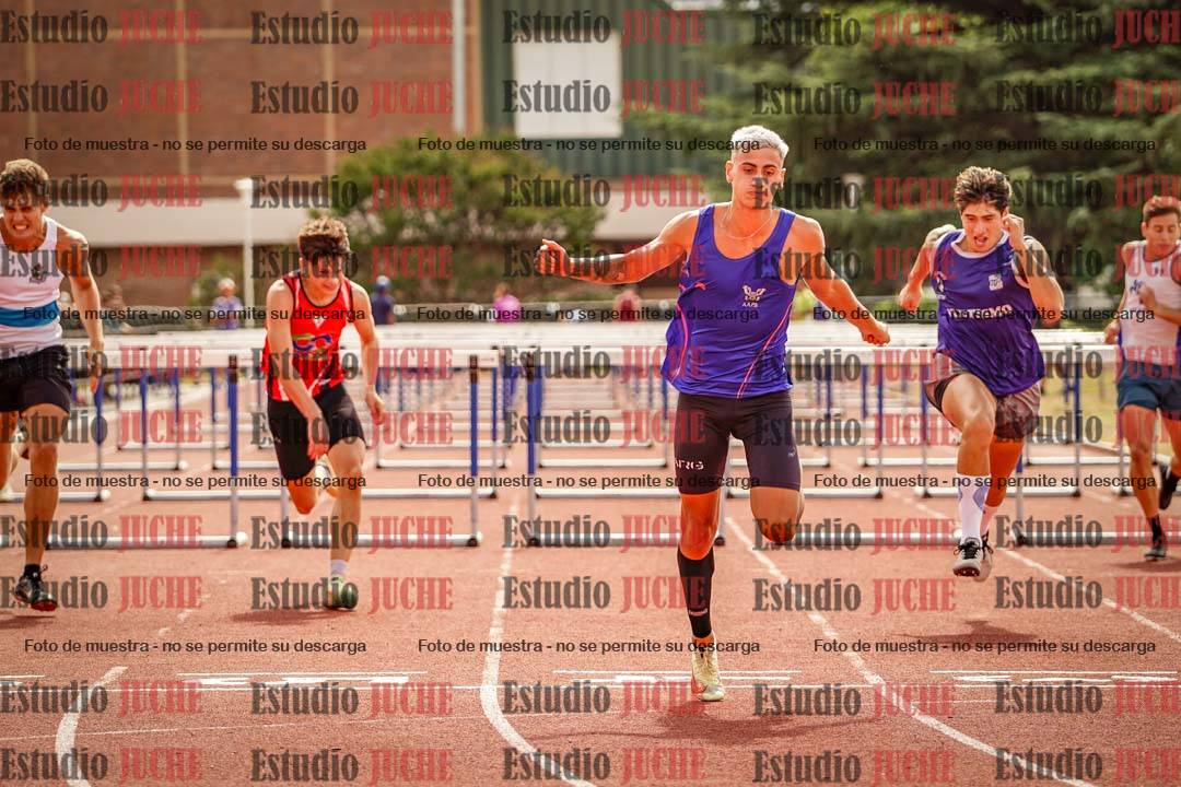Fotos de los 110 m con vallas de varones