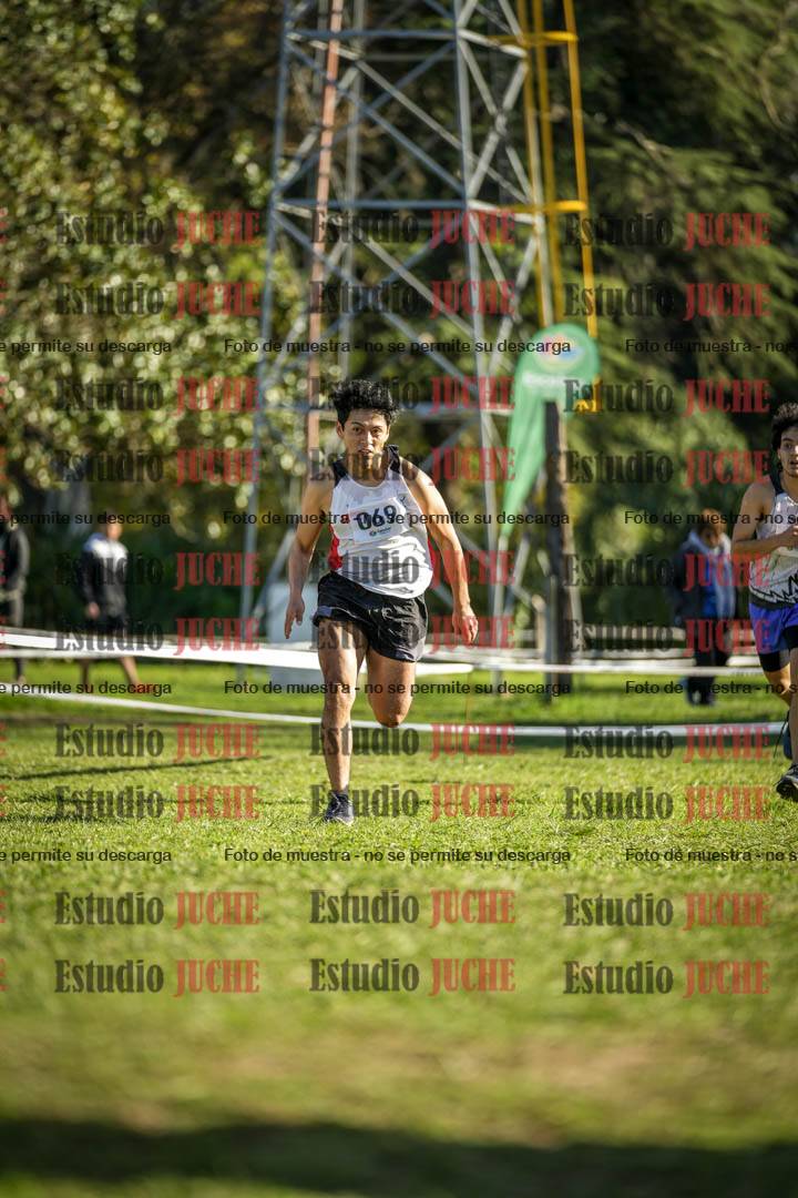 Fotos de la llegada del cross de 4000 m - varones