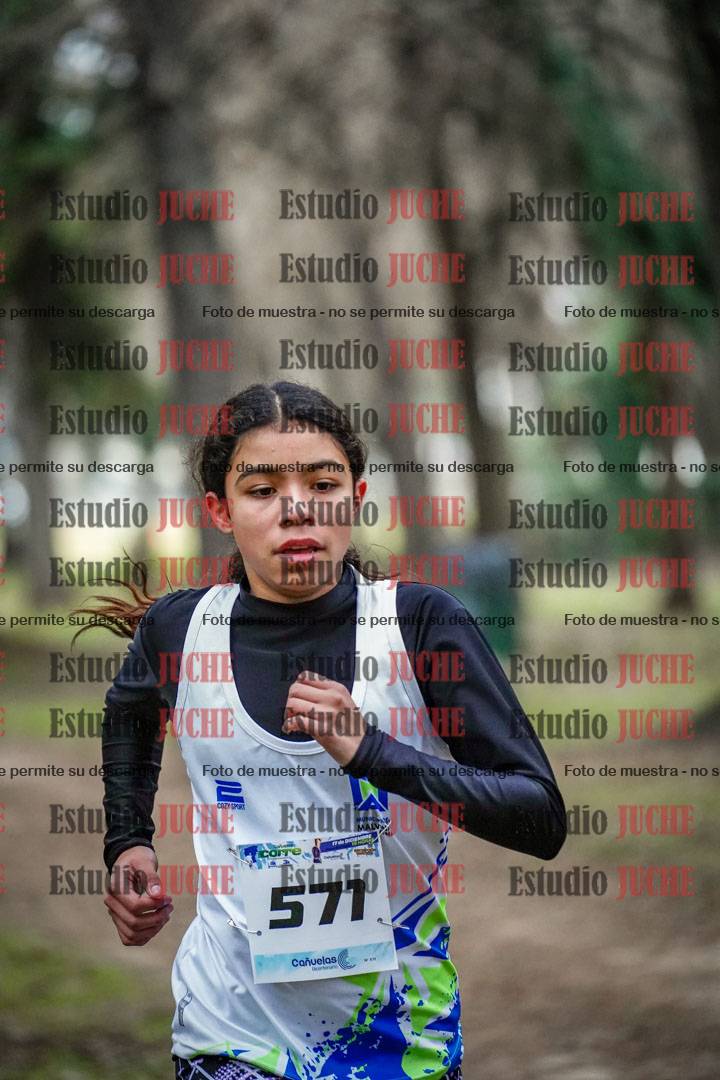 Fotos en el circuito