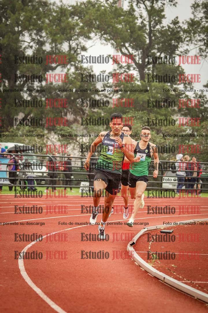 Fotos de los 800 m llanos de varones