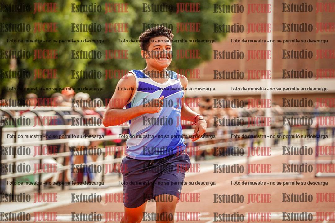 Fotos de los 110 m con vallas de varones