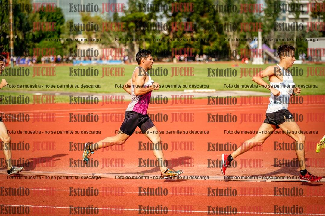 Fotos de los 3000 m llanos de varones