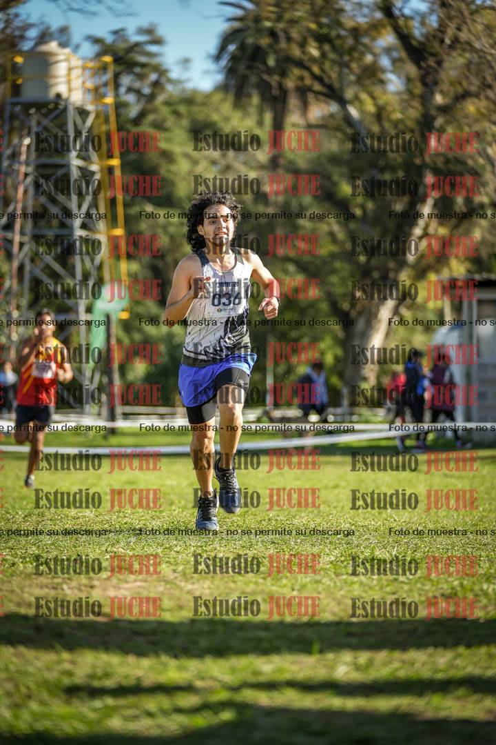 Fotos de la llegada del cross de 4000 m - varones