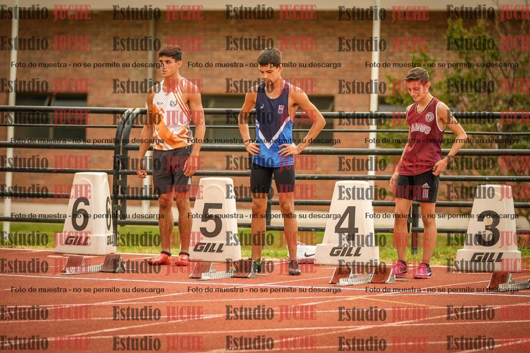 Fotos de los 110 m con vallas de varones