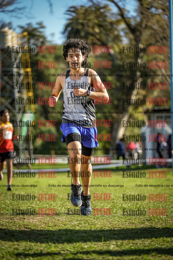 Fotos de la llegada del cross de 4000 m - varones