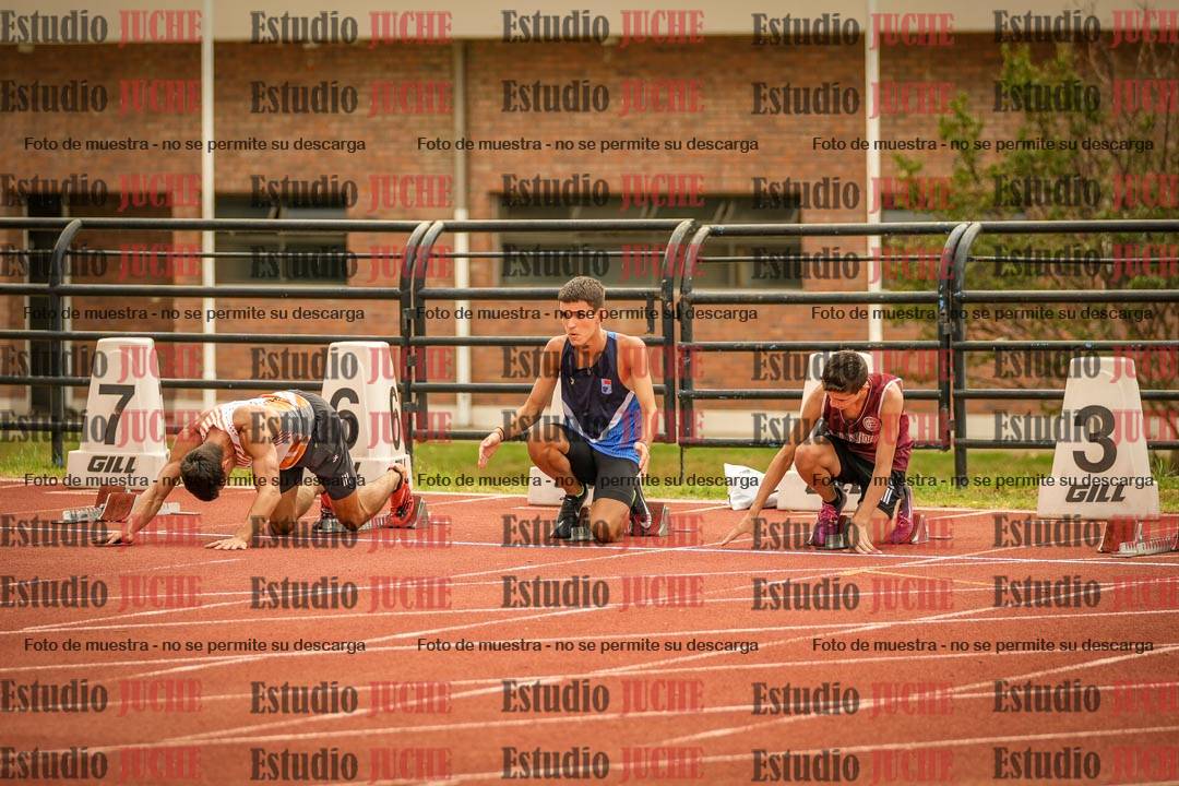 Fotos de los 110 m con vallas de varones