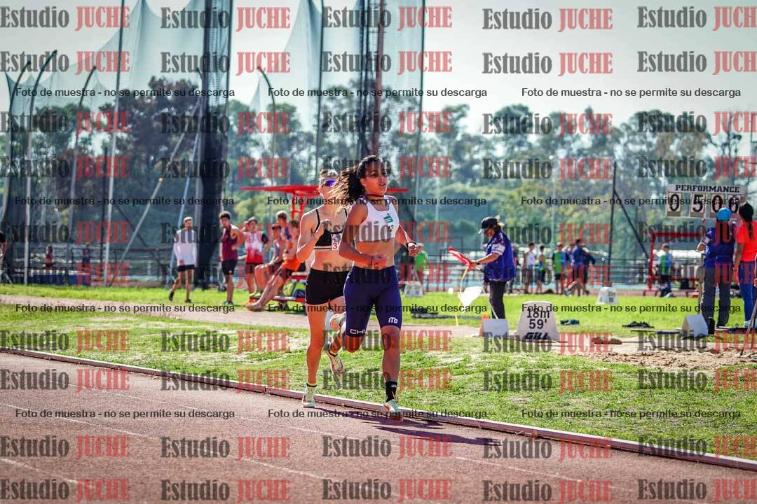 Fotos de los 800 m llanos de mujeres