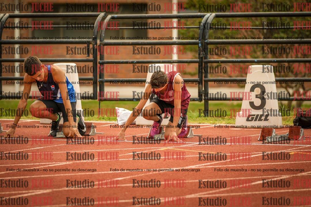 Fotos de los 110 m con vallas de varones