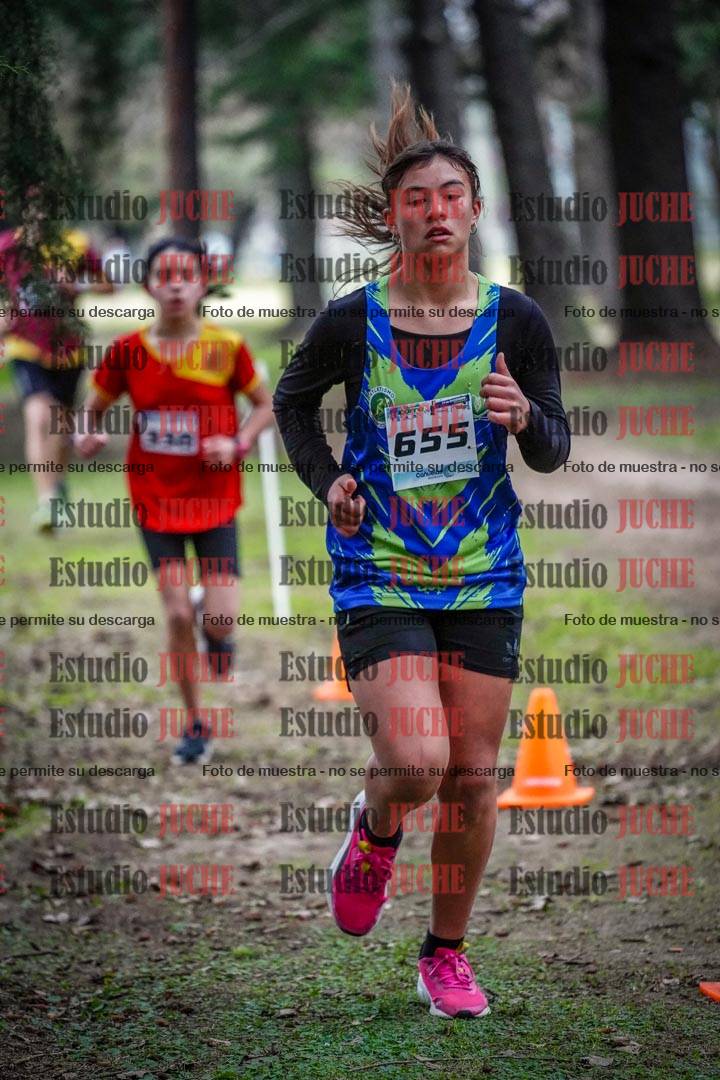 Fotos en el circuito