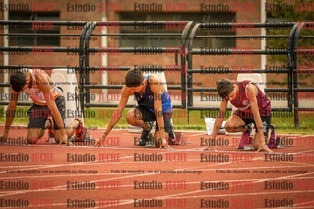Fotos de los 110 m con vallas de varones