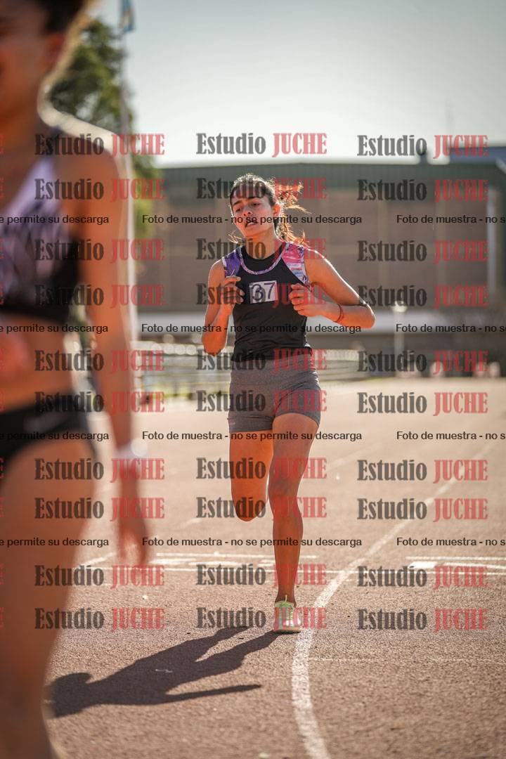 Fotos de los 800 m llanos de mujeres