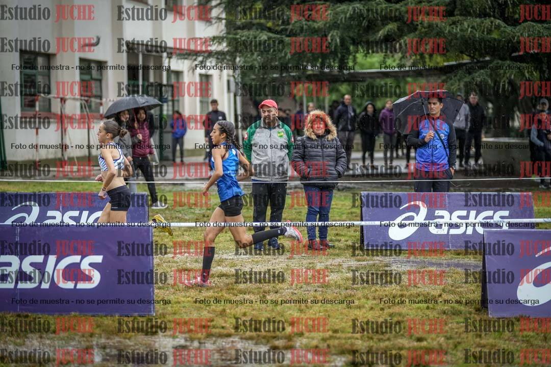 Fotos en el circuito