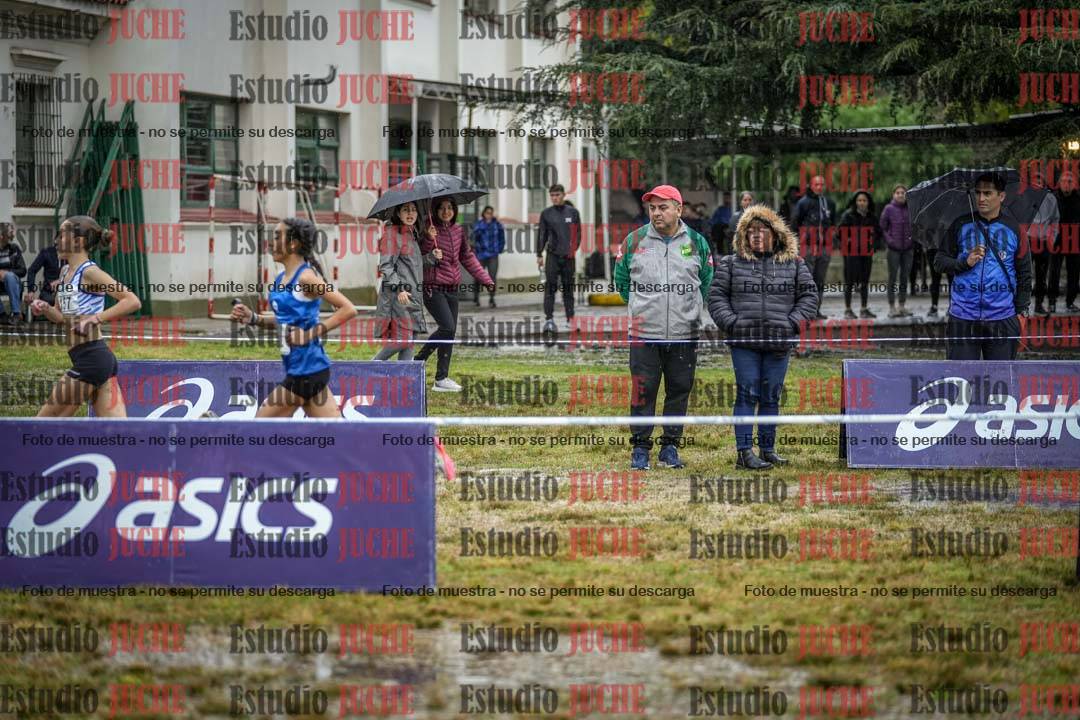 Fotos en el circuito