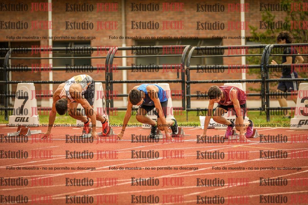 Fotos de los 110 m con vallas de varones