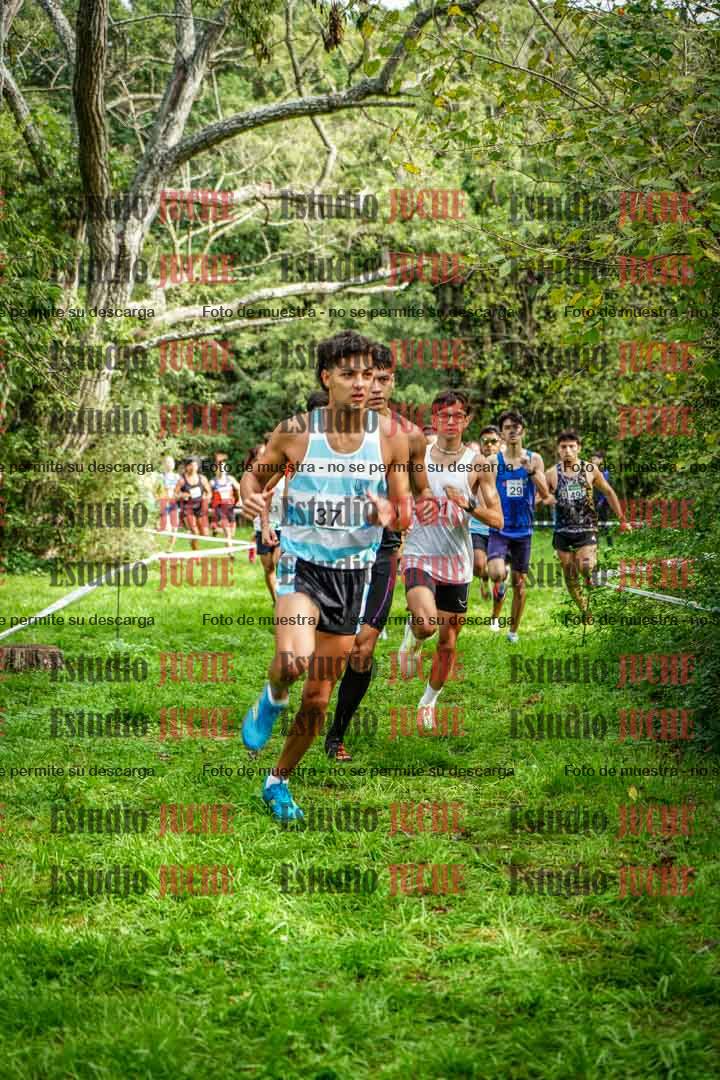 Fotos en el circuito