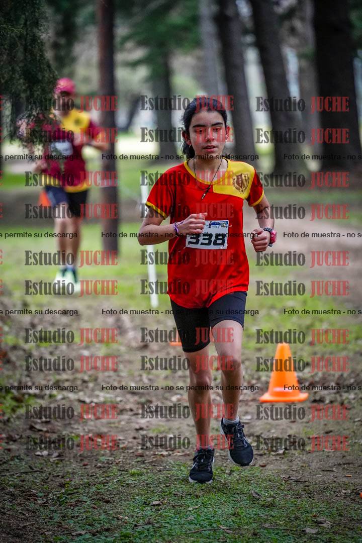 Fotos en el circuito