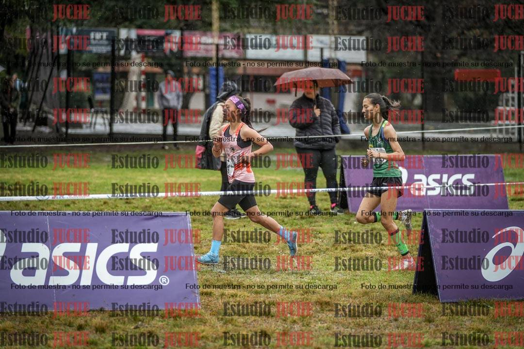 Fotos en el circuito