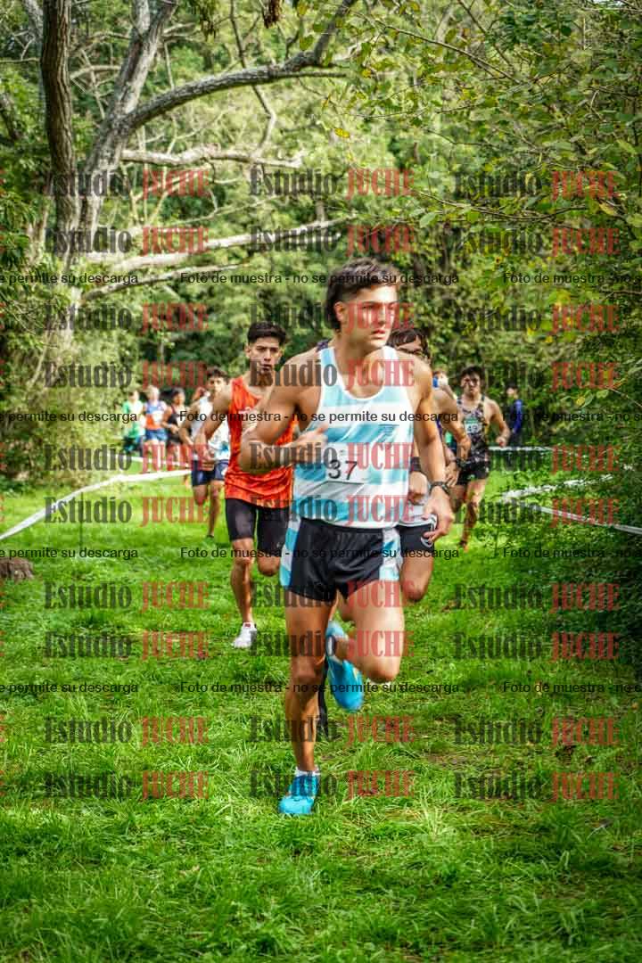 Fotos en el circuito