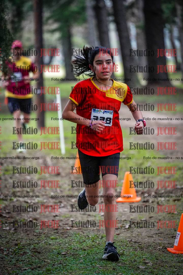 Fotos en el circuito