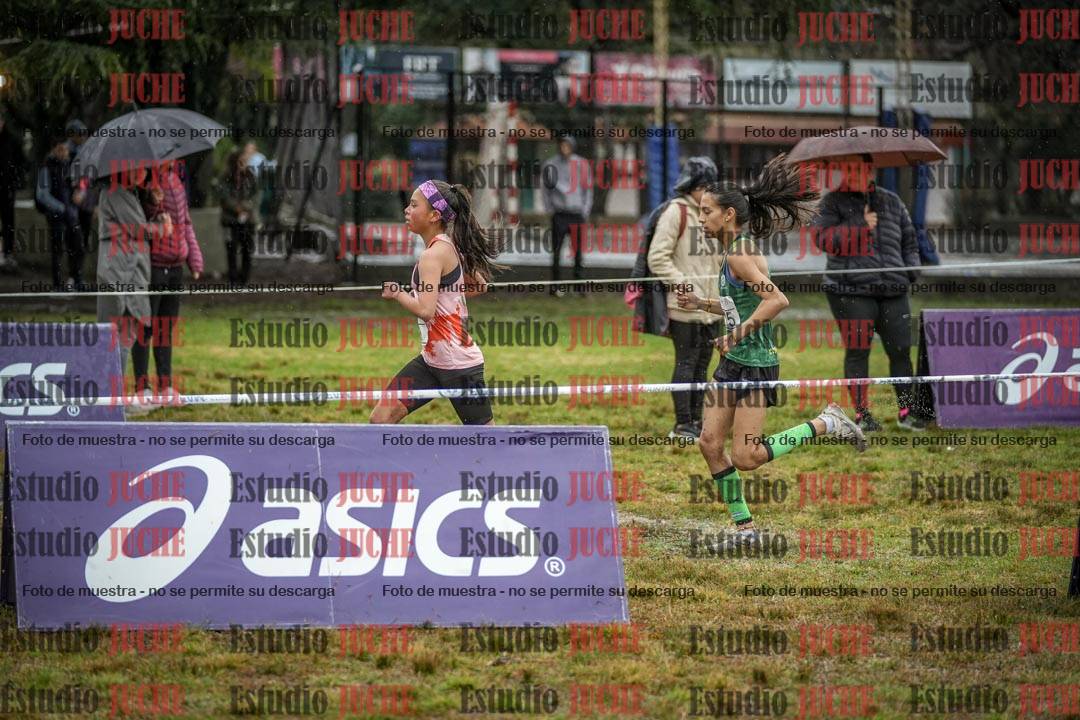 Fotos en el circuito