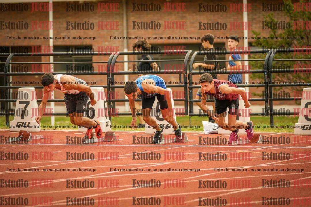 Fotos de los 110 m con vallas de varones
