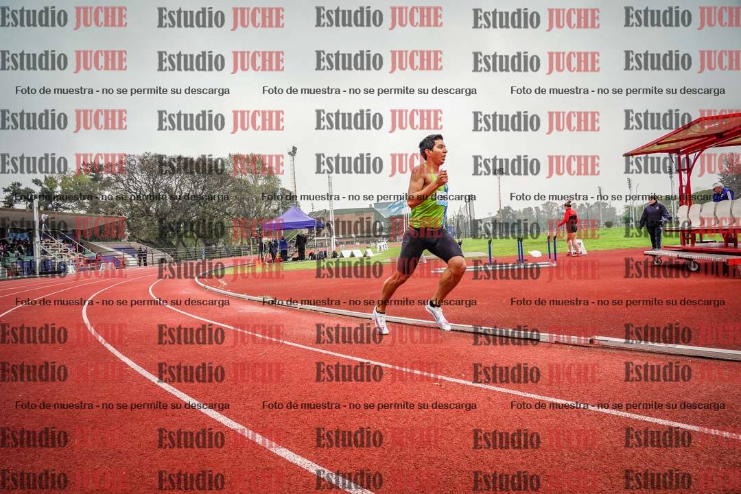 Fotos de los 800 m llanos de varones
