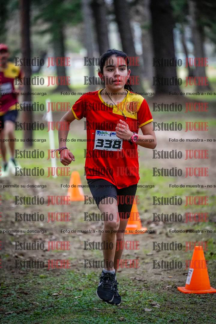 Fotos en el circuito