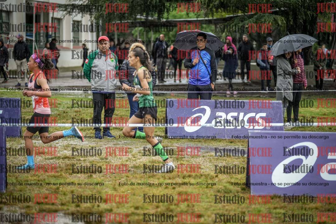 Fotos en el circuito